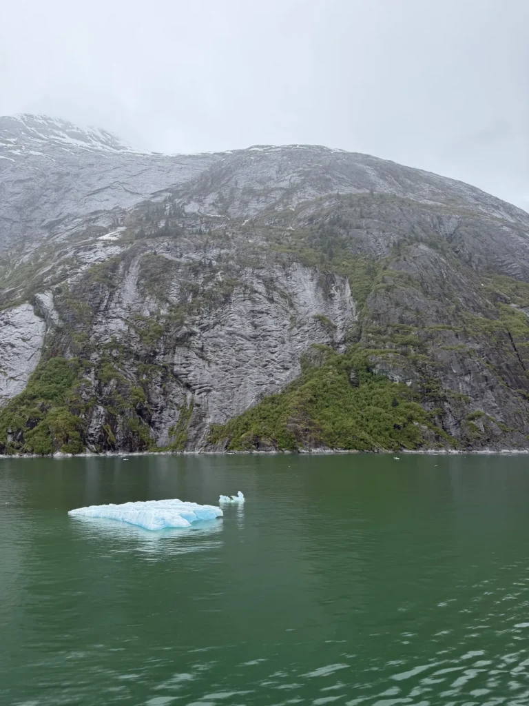 View of the Endicott arm while traveling to see the Dawes glacier with a small ice berg floating by the ship.