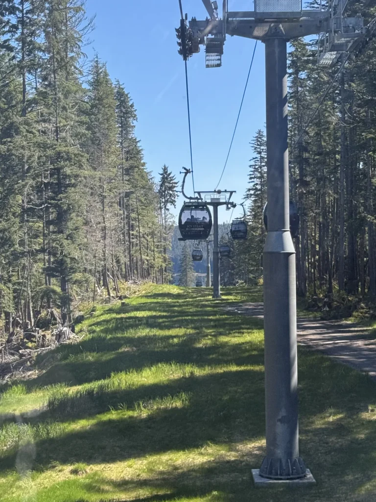 The free gondola rode at Icy Straite Point